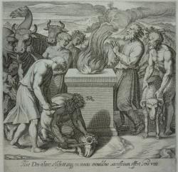 Afbeelding 1 van 1